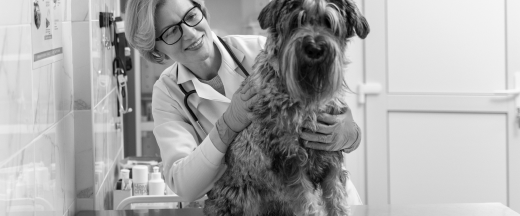 Зображення факту 2