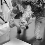 Тест курси 2