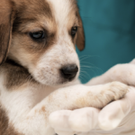 Тест курси 3