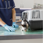 Тест курси 1