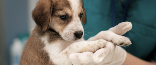 Зображення факту 4